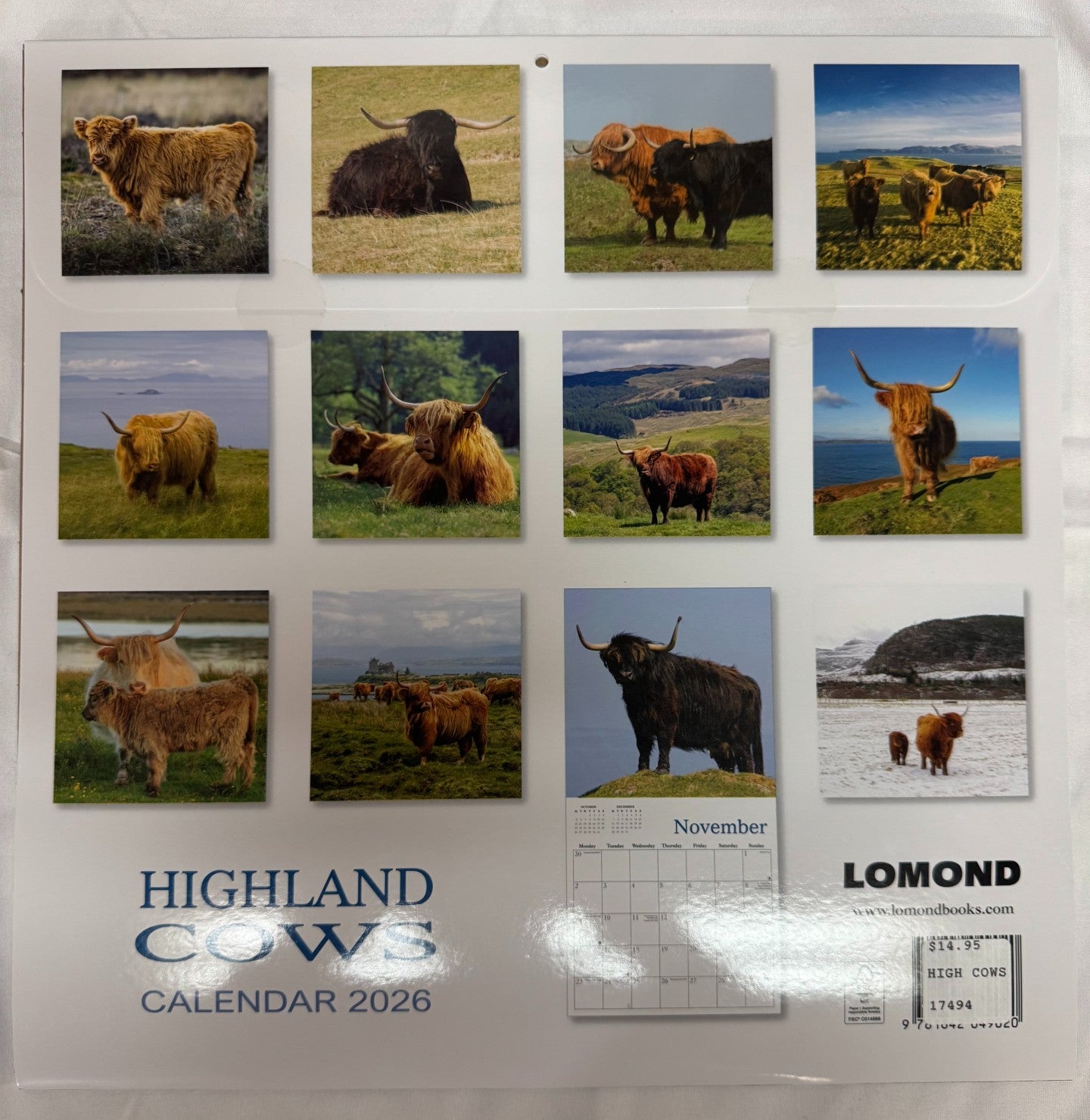 Highland Cows Calendar