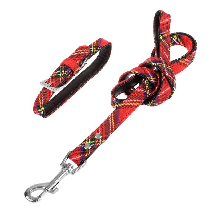 Royal Stewart Dog Collar & Lead Set