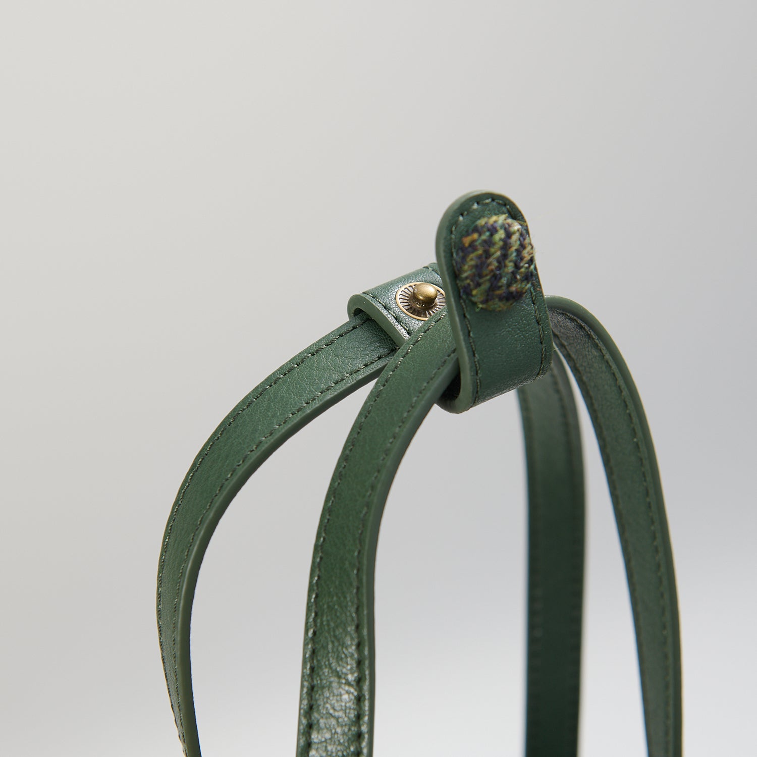 The Orlagh [6 Colors]