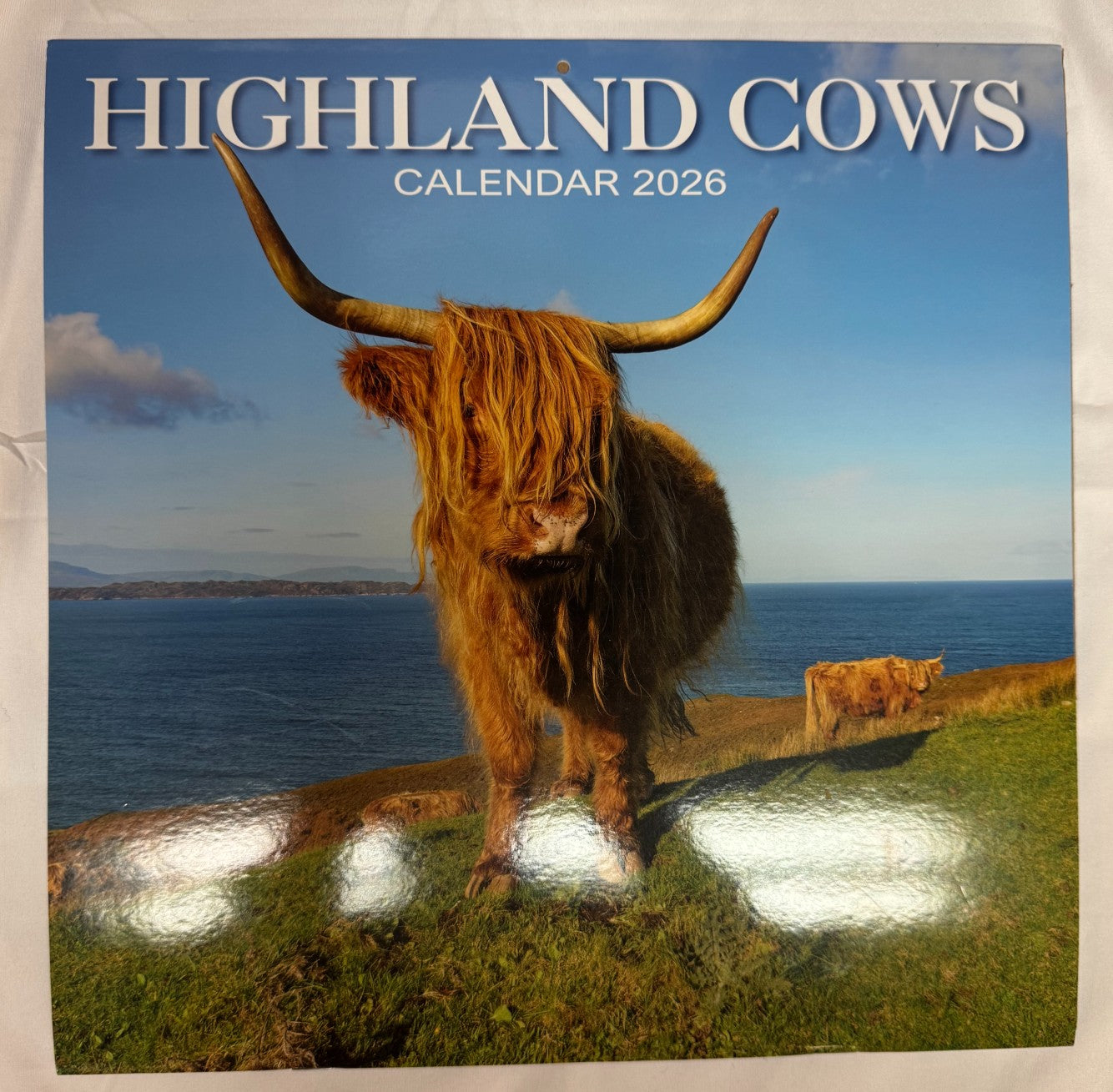 Highland Cows Calendar