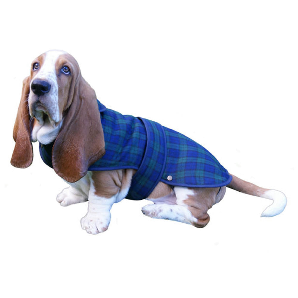 blue plaid dog coat, Black Watch plaid